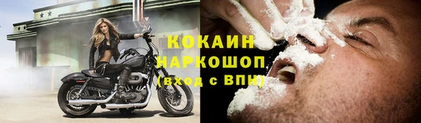 твердый Алексин