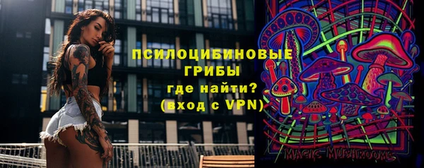 твердый Алексин