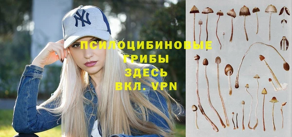 твердый Алексин